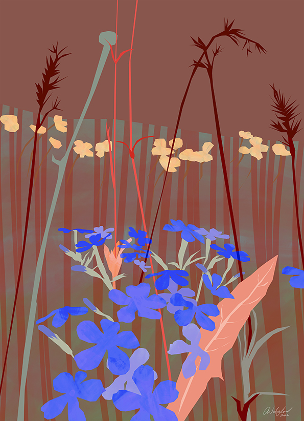 Wild Provenance / Botanical Art Print