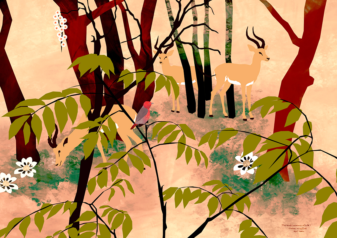 A Small Insistence of Life / Nature Art Print with Impala